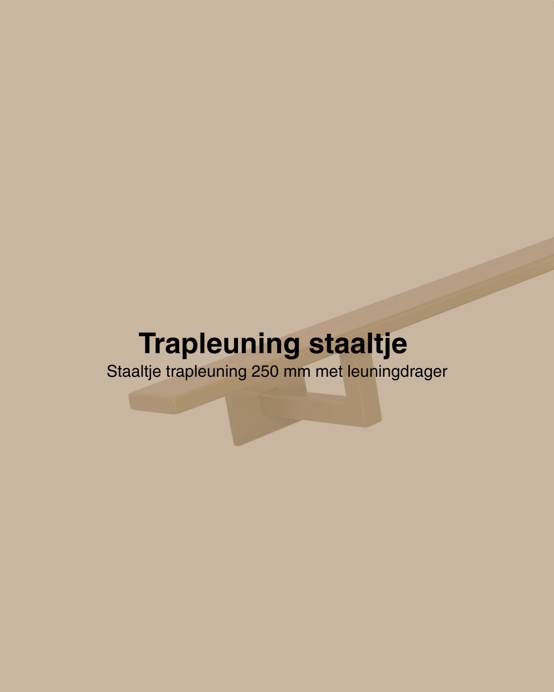 Staaltje trapleuning rechthoekig 40x10mm goud afbeelding