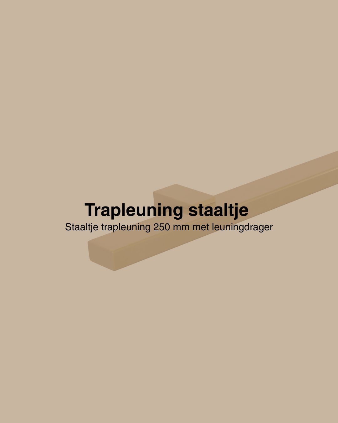 Staaltje trapleuning rechthoekig 40x20mm goud afbeelding