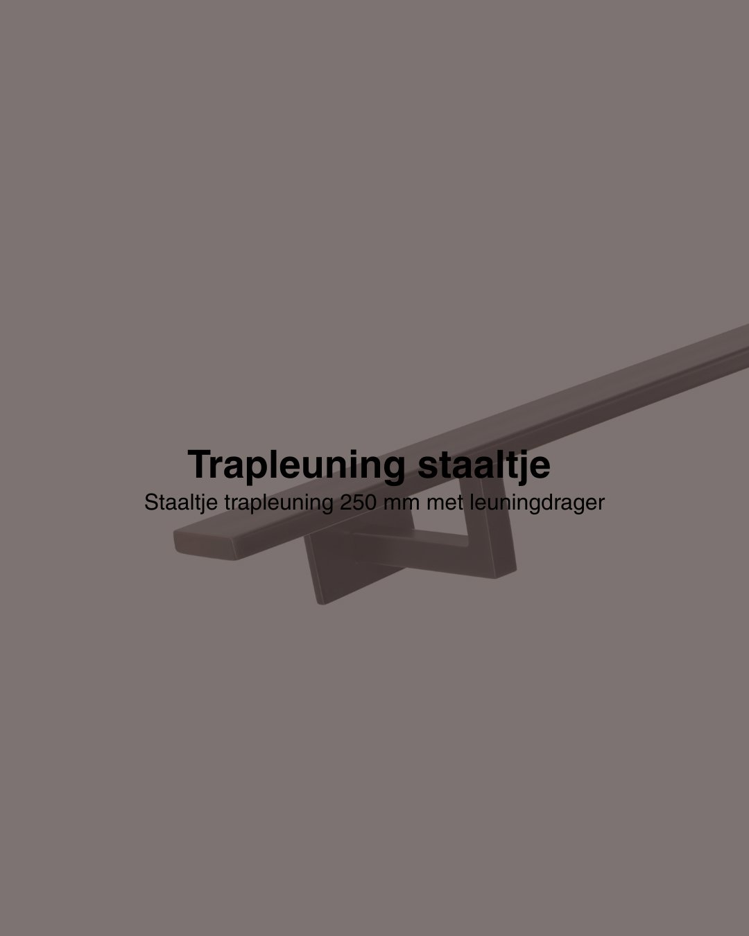 Staaltje trapleuning rechthoekig 40x10mm gun metal afbeelding