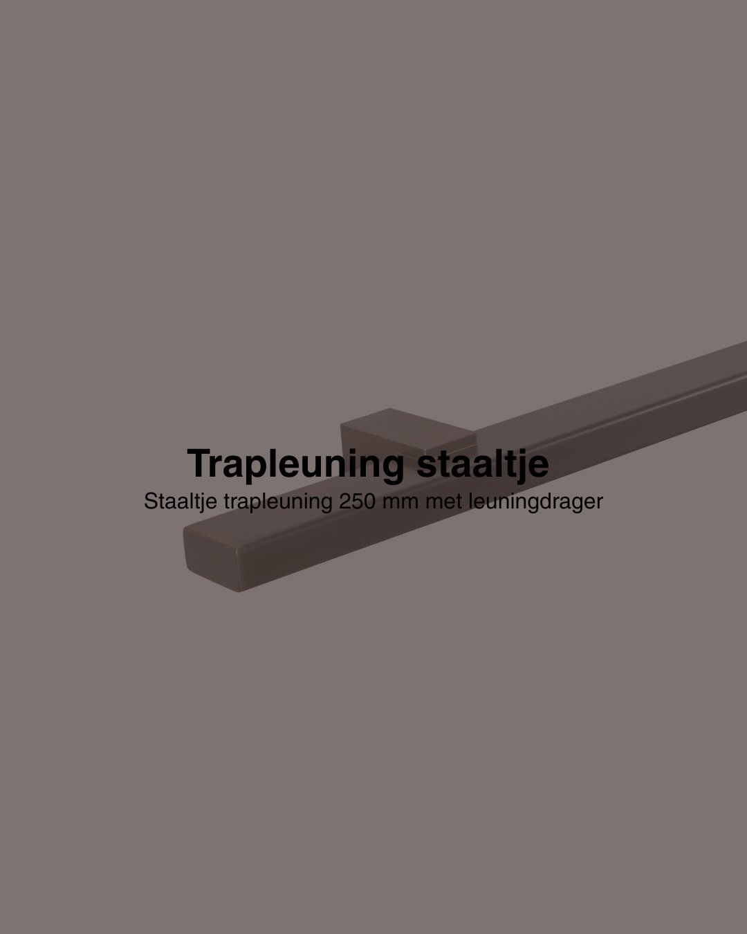 Staaltje trapleuning rechthoekig 40x20mm gun metal afbeelding