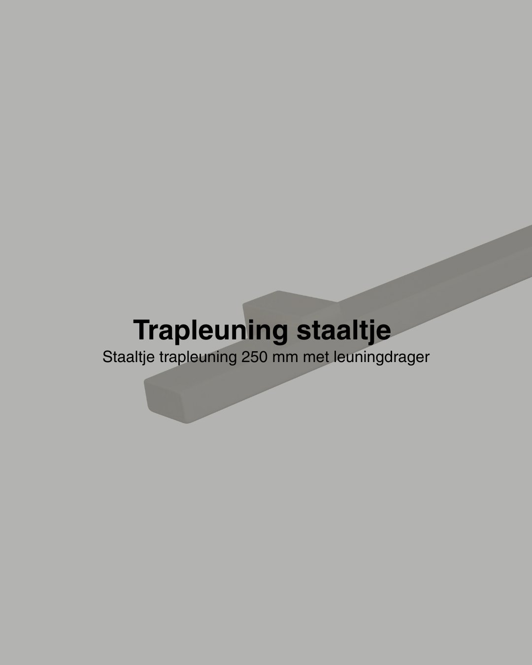 Staaltje trapleuning rechthoekig 40x20mm greige