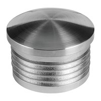 Kunststof eindkap voor buis Ø33.7 (RVS look)