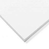 PVC Geschuimd plaat wit 6 mm ral9003