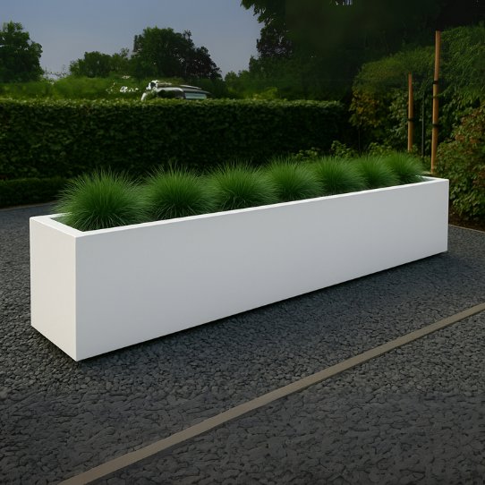 Witte border