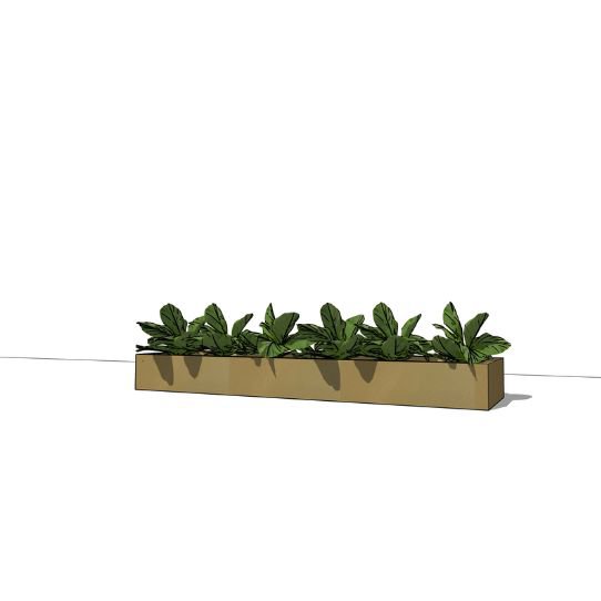 Gouden border