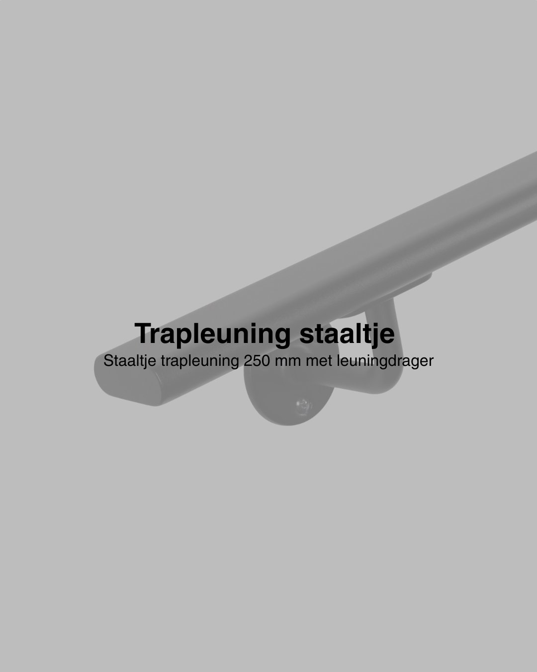 Staaltje trapleuning ovaal-zwart