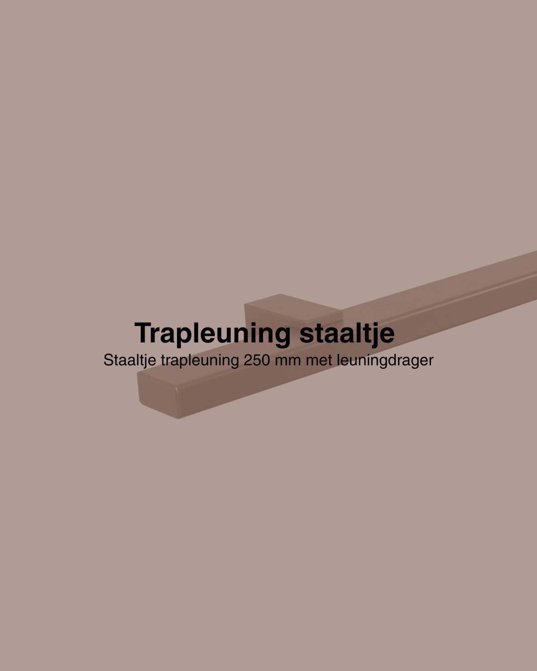 Staaltje trapleuning rechthoekig 40x20mm brons afbeelding