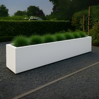 Witte border