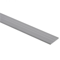 Aluminium strip 100x5