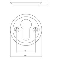 Intersteel Rozet profielcilindergat schroefgat messing getrommeld